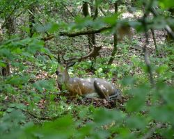 DSC_0514.JPG