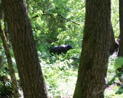 Turnier-2011-017.jpg