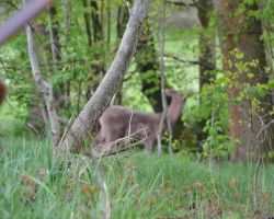 DSC_0778.JPG