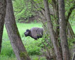 DSC_0783.JPG