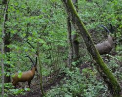 DSC_0895.JPG