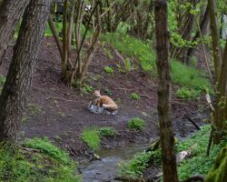DSC_0786.JPG