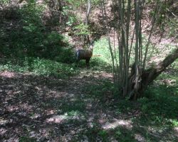 IMG_0394.JPG