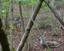 DSC_0893.JPG